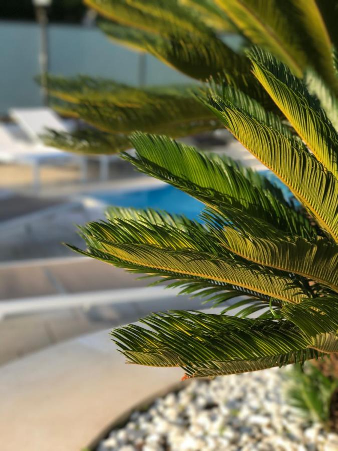 Path House - Etna & Sea View Aparthotel Рипосто Екстериор снимка